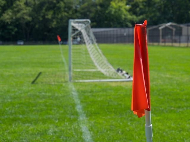 好的见证者 好的见证者