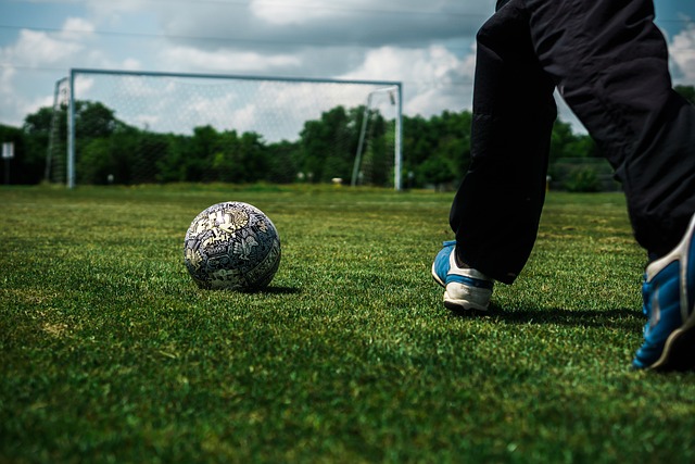 球智商和领 球智商和领