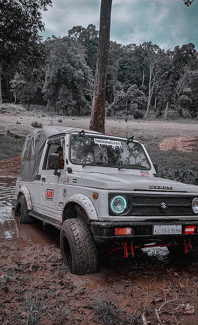 东京奥运会体操冠军管晨辰做防疫志愿者.