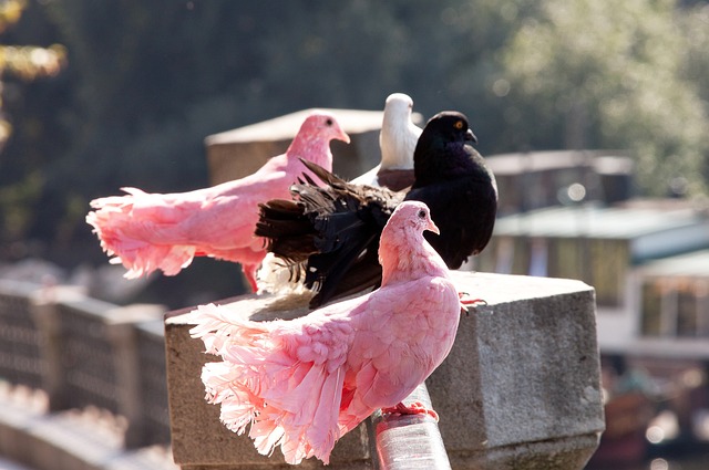 潜在影响 潜在影响
