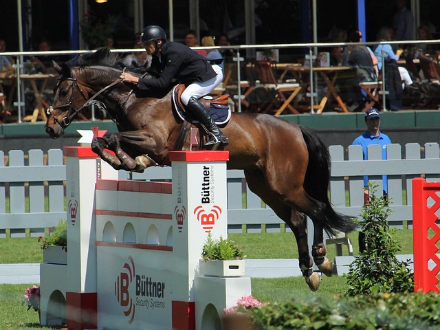 然而这场比 然而这场比