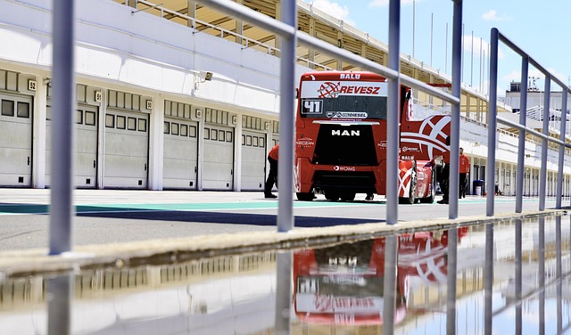 维奇用无数 维奇用无数