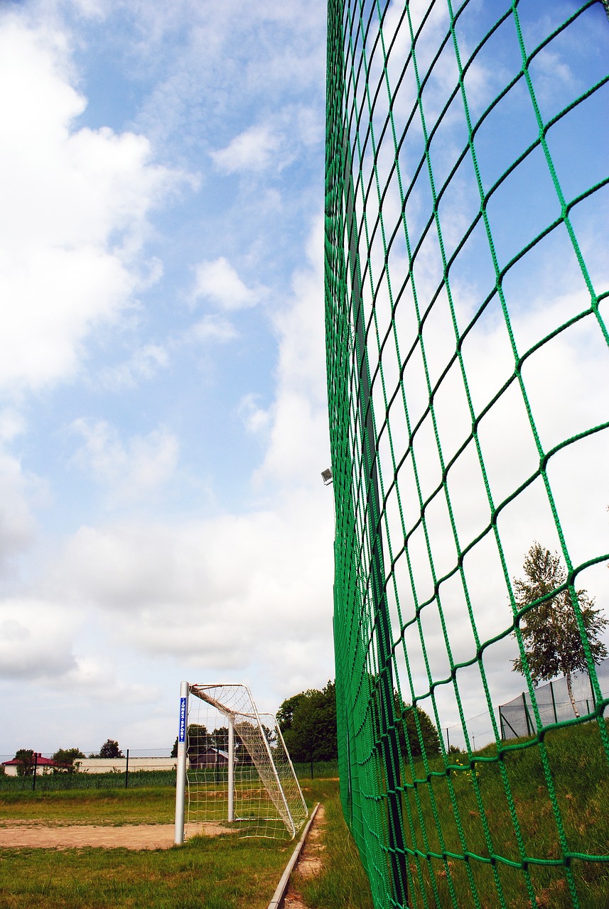 另一支西亚 另一支西亚