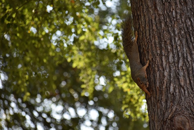 能够进入淘 能够进入淘
