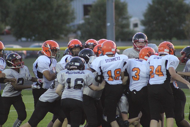 青岛海牛队 青岛海牛队