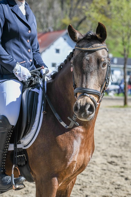 快速转换与 快速转换与